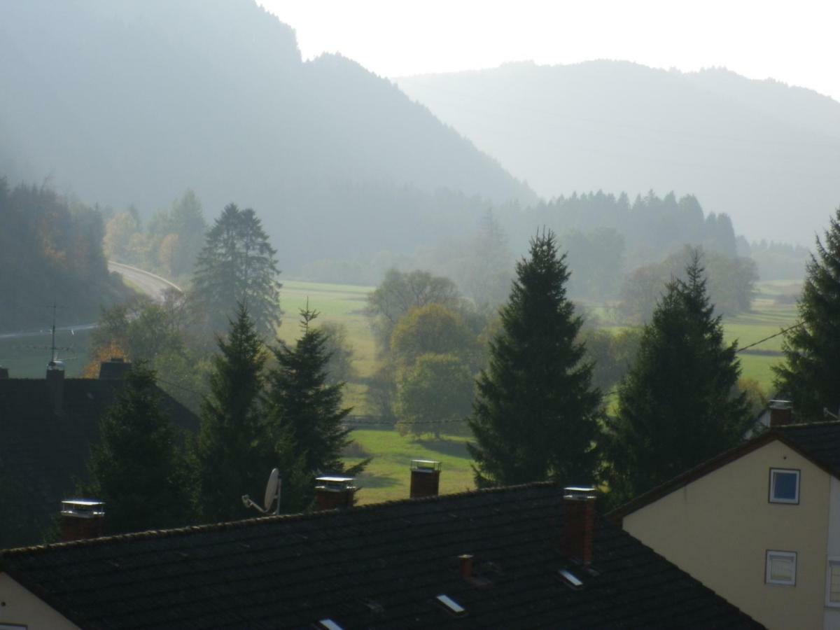 Urseetalblick WG 7 Lägenhet Lenzkirch Exteriör bild